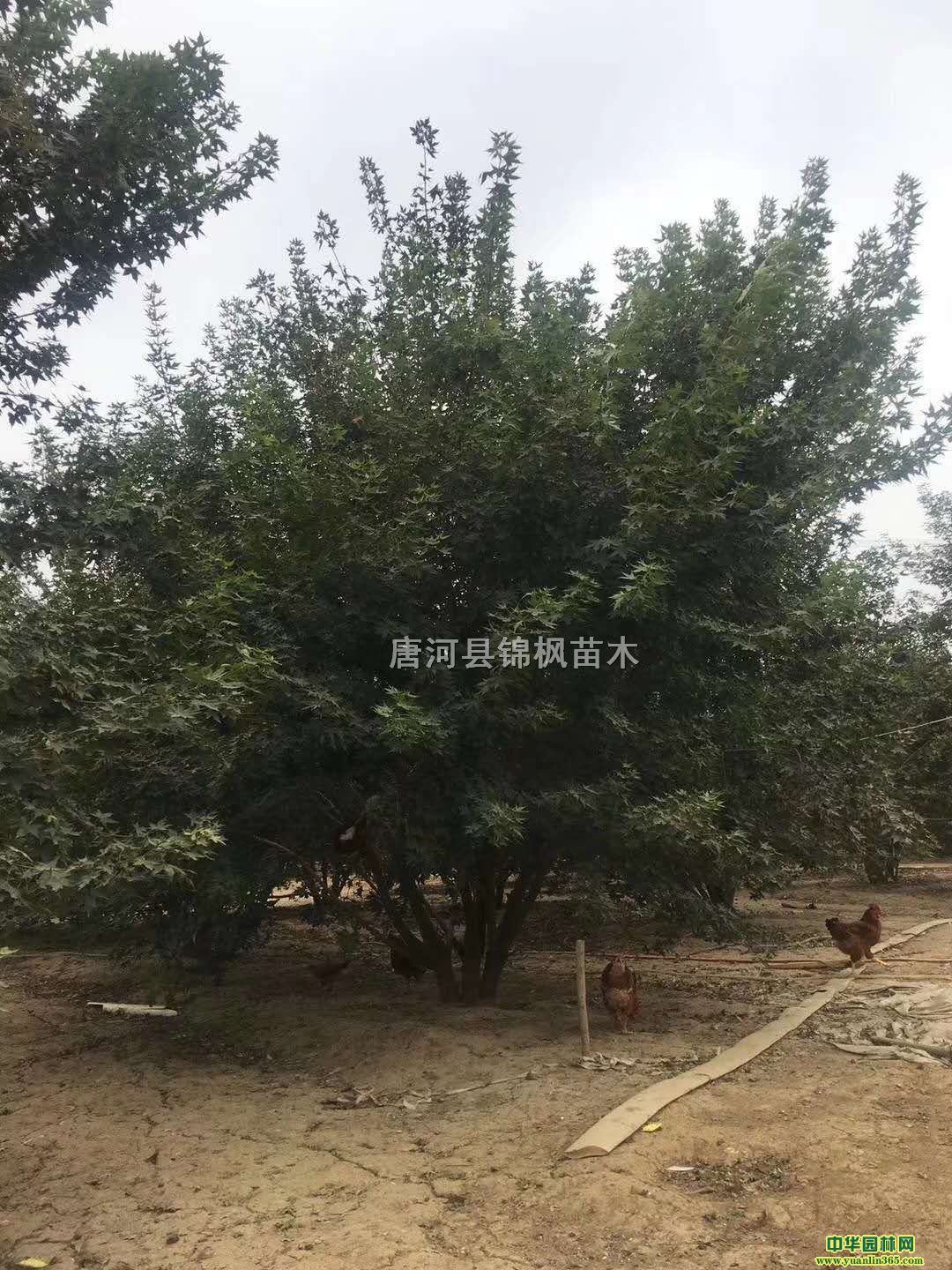 ǗΗU8-10