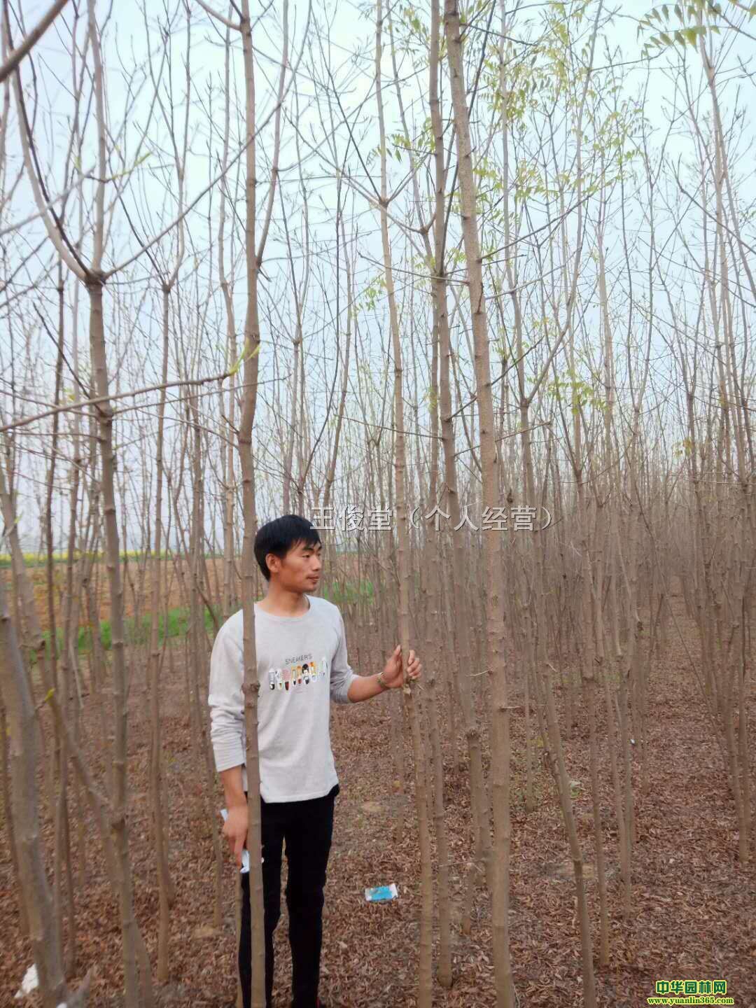 SBľ