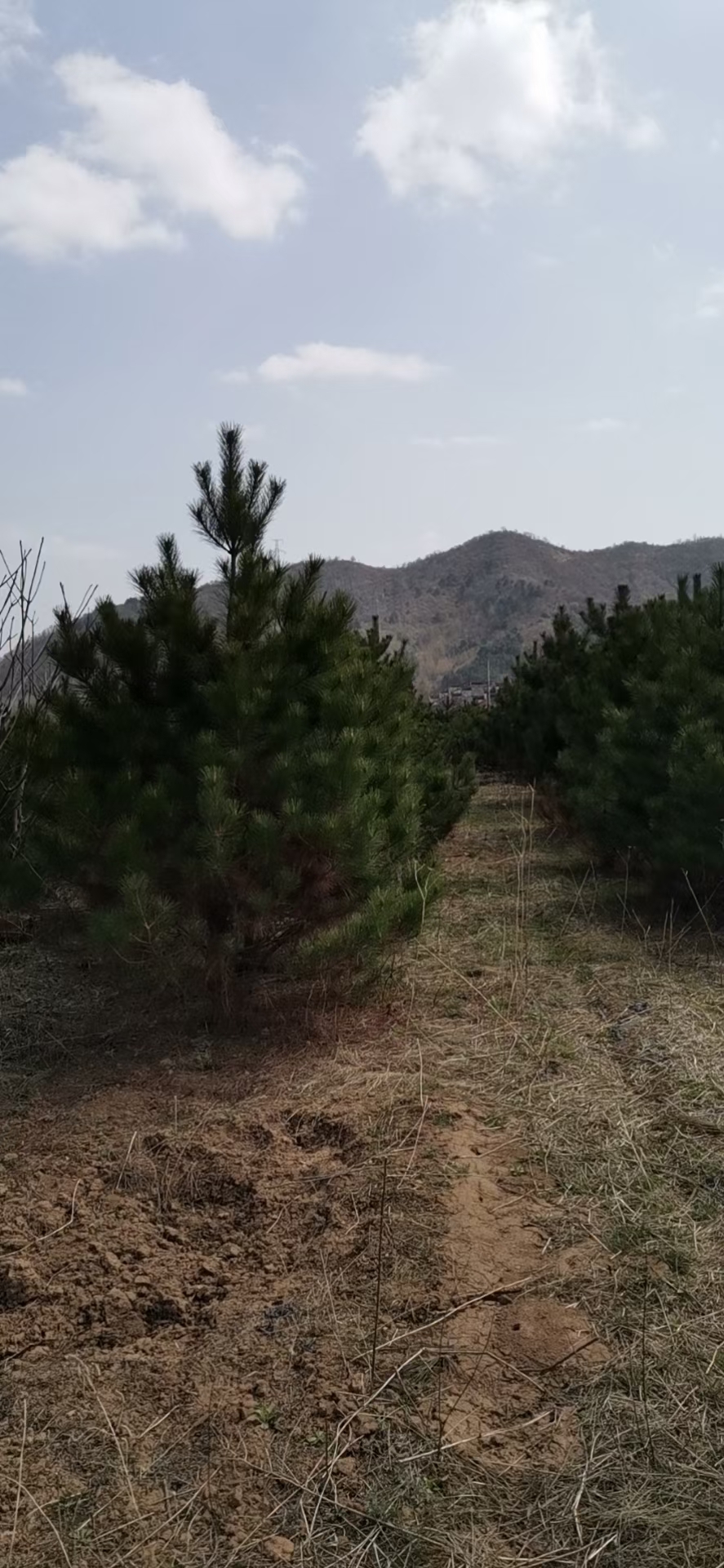 3.5һɹ1000