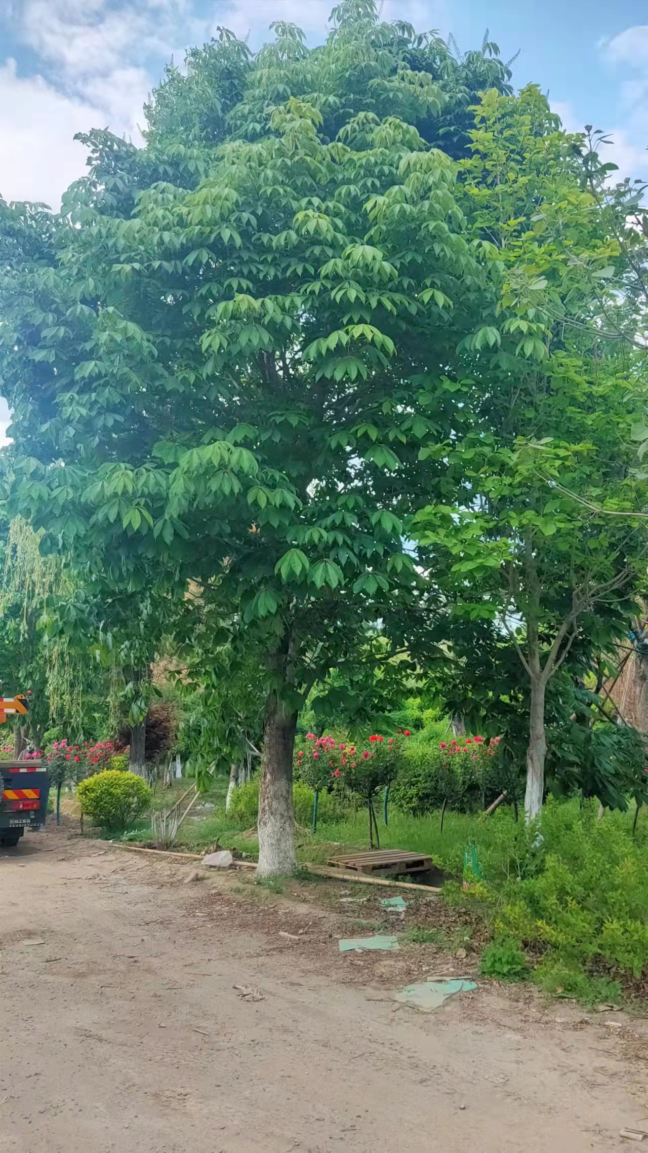 8-60~䱱ԻŃr