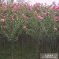 ޱaء3-10ޱޱrޱС硢ޱDƬ
