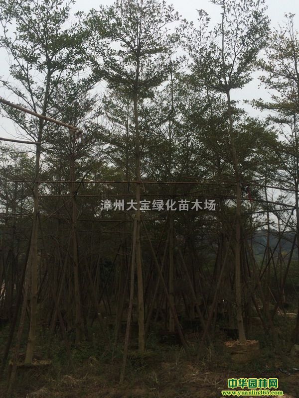 bС~ʡ(x)~5-12