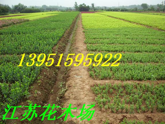 ɫGh硢t~Сޡ~ŮؑSءuء̰ءذءӭBN