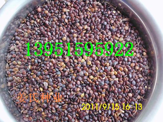 GޱѻtΡ䡢䡢䡢D÷ءȰ