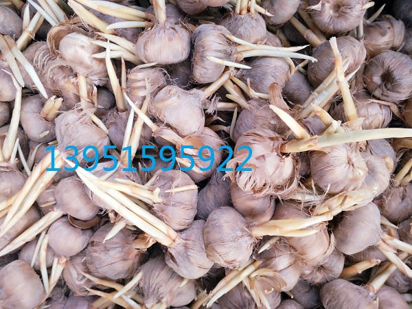 ܷtؼttɫNӵL(fng)ӡ