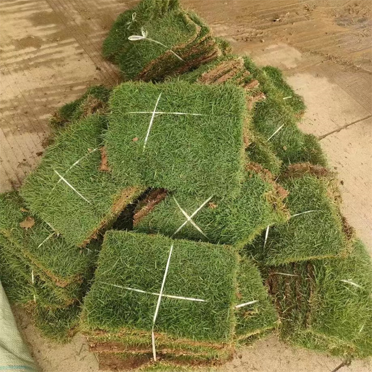 ĘsRòݰĽ