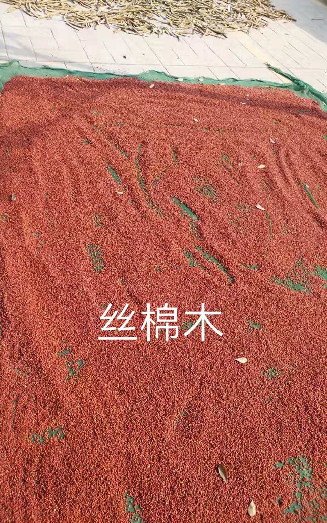 ²ɽzľľϘ䡢뻱NӼС硢