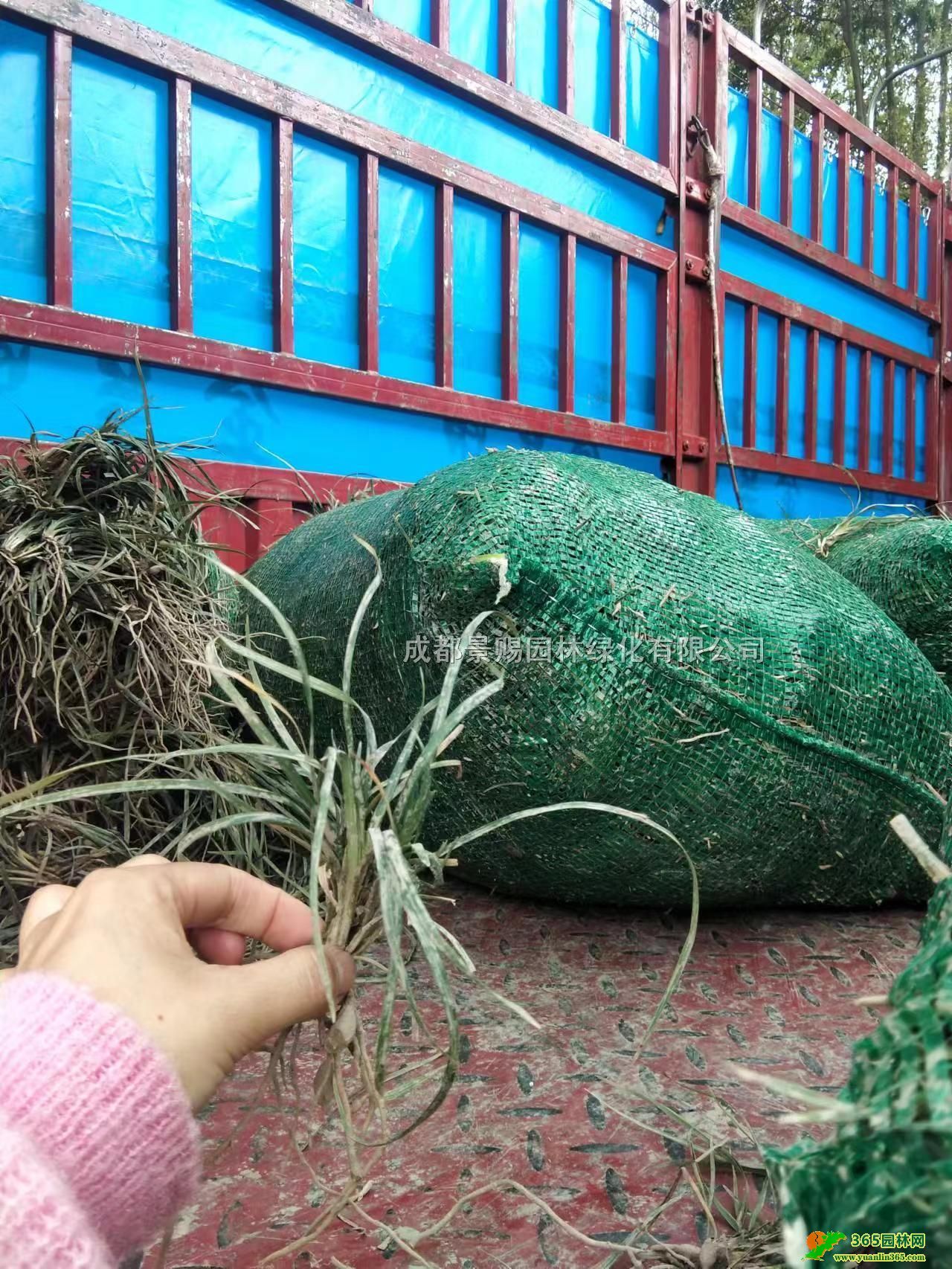 20ּ~С硢l~̾G