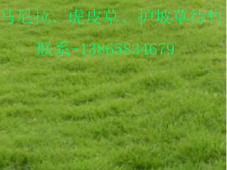RĽ첥é