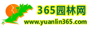 365@־W(wng)